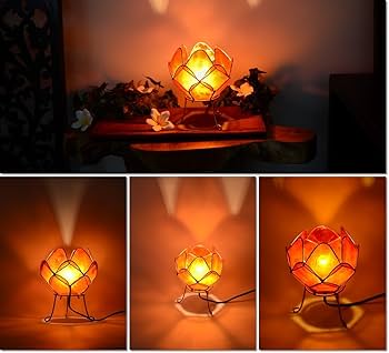 カプラ焼き　メキシコ雑貨　オレンジ　花柄　モルカヘテ　北欧雑貨　インテリア Amazon.co.jp: Pig Molcajete Mexicano Volcanic Rock